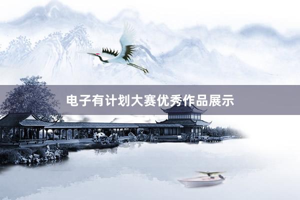 电子有计划大赛优秀作品展示