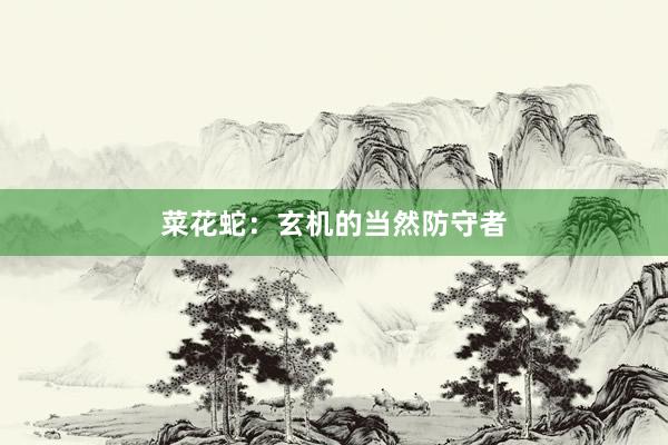 菜花蛇：玄机的当然防守者